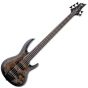 ESP LTD B-5E Burled Poplar Electric Bass Charcoal Burst Satin sku number LB5EBPCHBS