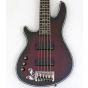 Schecter Hellraiser Extreme-5 Left-Handed Bass B-Stock 1623 sku number SCHECTER1921-B1623