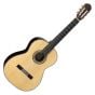 Takamine H8SS Classical Acoustic Guitar in Natural Gloss Finish sku number TAKH88S
