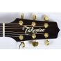 Takamine DMP500CE DC Engelmann Spruce Top Limited Edition Guitar sku number TAKDMP500CEDCN