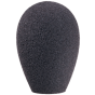 AKG W32 Windscreen sku number 6000H06240