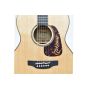 Takamine TLD-M2 Solid Spruce Top Figured Myrtle Back Limited Edition Guitar sku number TAKTLDM2