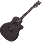 Schecter Orleans Studio-12 Acoustic Guitar in Satin See Thru Black Finish sku number SCHECTER3714