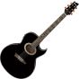 Ibanez Steve Vai EP10 Signature Acoustic Electric Guitar Black Pearl sku number EP10BP