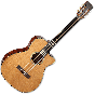 Takamine EF740FSTT Thermal Top Acoustic Guitar in Natural Finish sku number TAKEF740FSTT