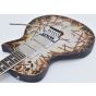 ESP E-II Richard Z RZK-II Burnt Electric Guitar with Case sku number EIIRZKII