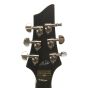 Schecter Chris Poland Solo-6 Poltergeist STBLK 246 See Thru Black sku number 6SSGR-246