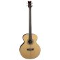 Dean Acoustic Electric Bass Fretless GN EAB FL sku number EAB FL