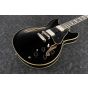 Ibanez JSM20 BKL John Scofield Black Low Gloss Hollow Body Electric Guitar w/Case sku number JSM20BKL