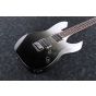 Ibanez RG Standard RG421 PFM Pearl Black Fade Metallic Electric Guitar sku number RG421PFM