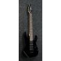 Ibanez RG Genesis Collection Black RG570 BK Electric Guitar sku number RG570BK