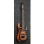 Ibanez RGD71AL ANB RGD Axion Label 7 String Antique Brown Stained Burst Electric Guitar sku number RGD71ALANB