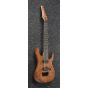 Ibanez RGIXL7 ABL RG Iron Label 7 String 27" scale Antique Brown Stained Low Gloss Electric Guitar sku number RGIXL7ABL