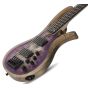 Schecter RIOT-5 Electric Bass in Satin Aurora Burst sku number SCHECTER1452