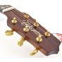 Takamine Custom Shop SG-CPD-AC1 Acoustic Guitar SN #2 sku number TAKSGCPDAC1 2