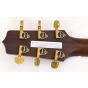 Takamine Custom Shop SG-CPD-AC1 Acoustic Guitar SN #3 sku number TAKSGCPDAC1 3