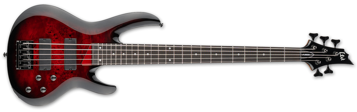 ESP LTD B-204DX Bass | Studio Gears