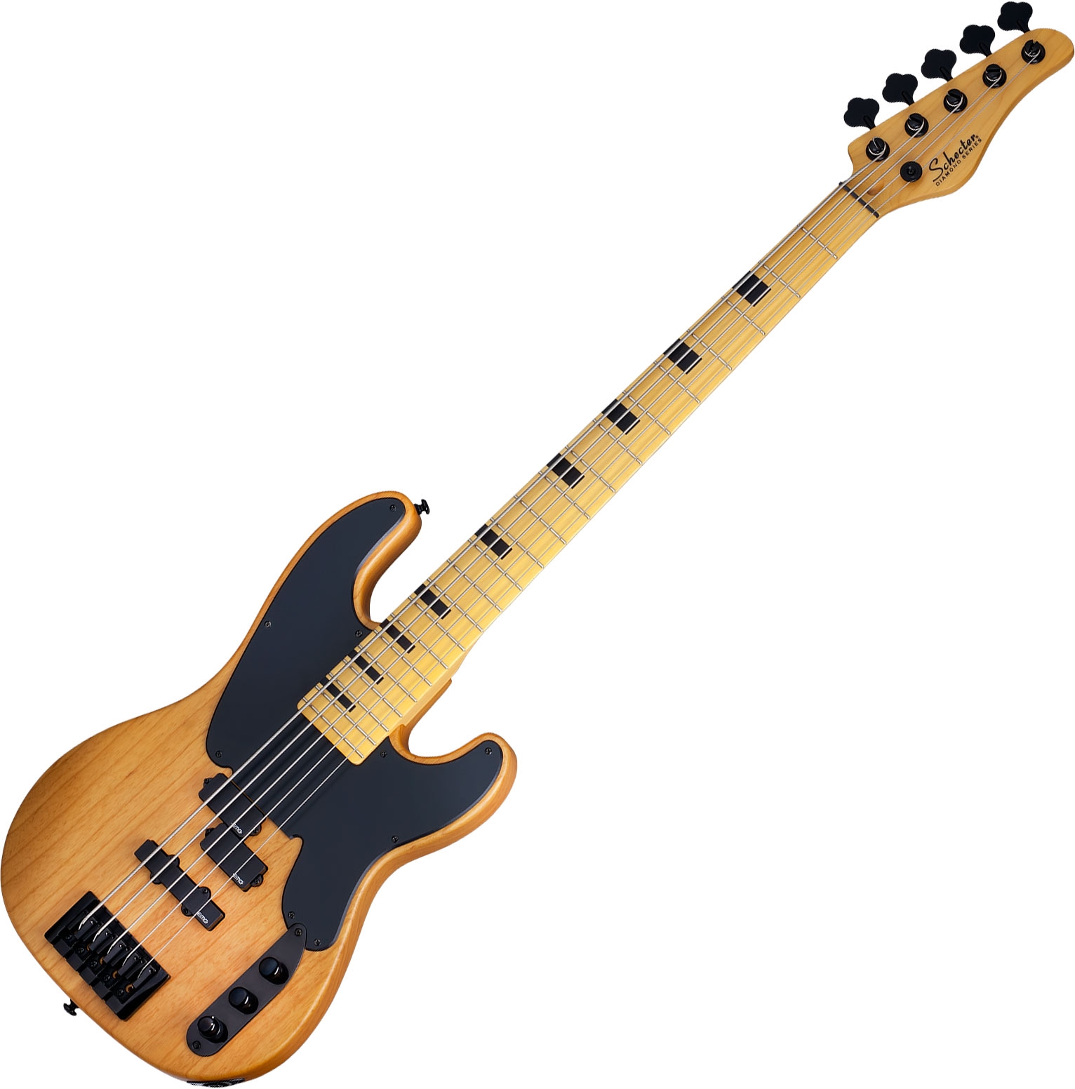 ベース SCHECTER MODEL-T SESSION-5 Schecter Model-T Session-5 Bass | Studio Gears