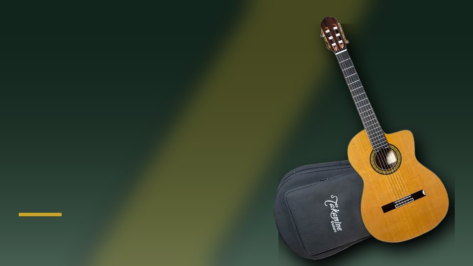 Takamine Hirade & Classical